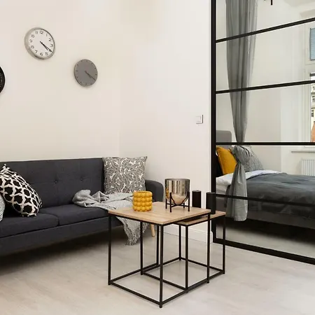 Spacious In The City Center Apartment *