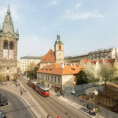 Spacious In The City Center Apartment