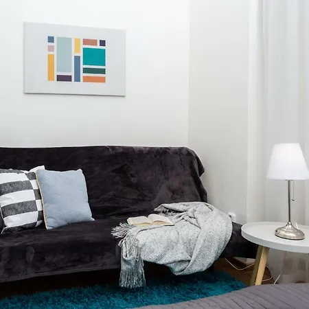 Apartment Spacious In The City Center